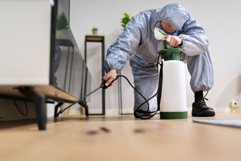 Pest Management Service in Frisco, TX